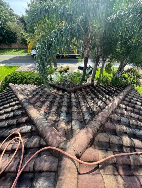 commercial roof after commercial roof before